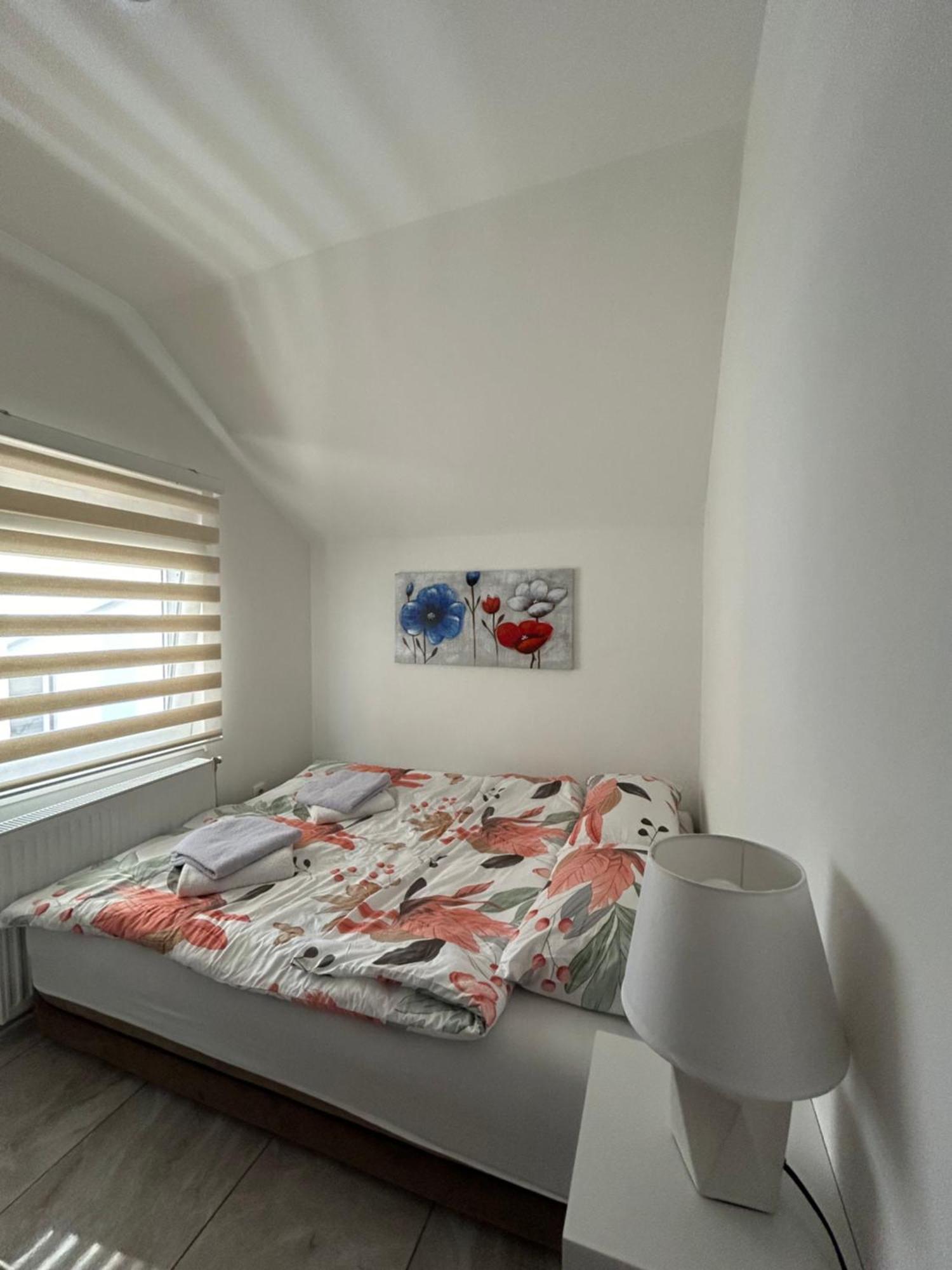 Apartment Gold Lux Surcin