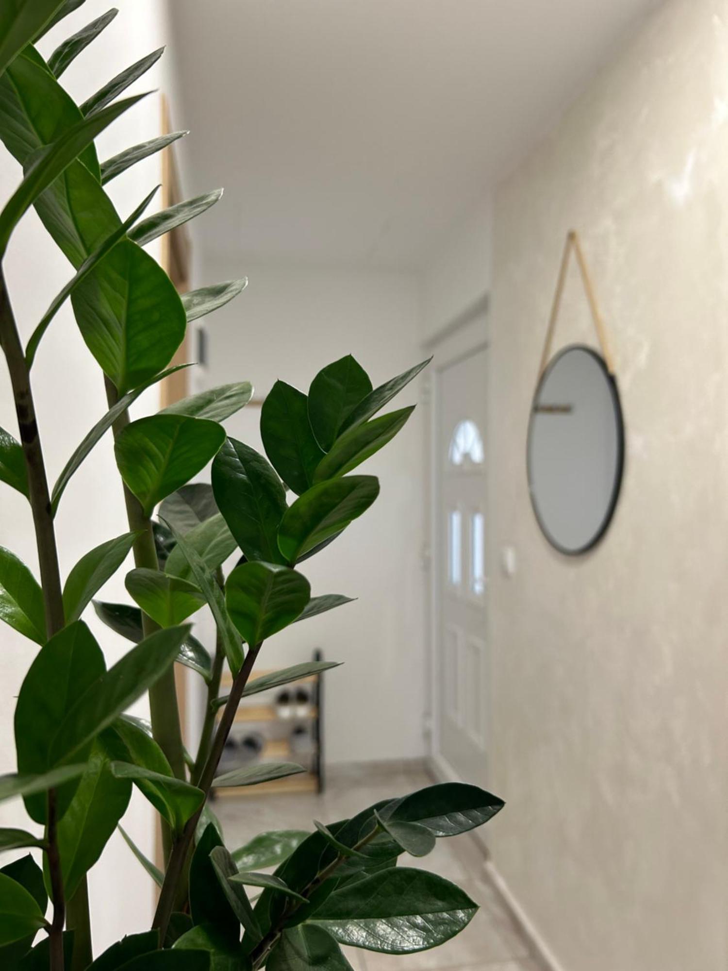 Apartment Gold Lux *